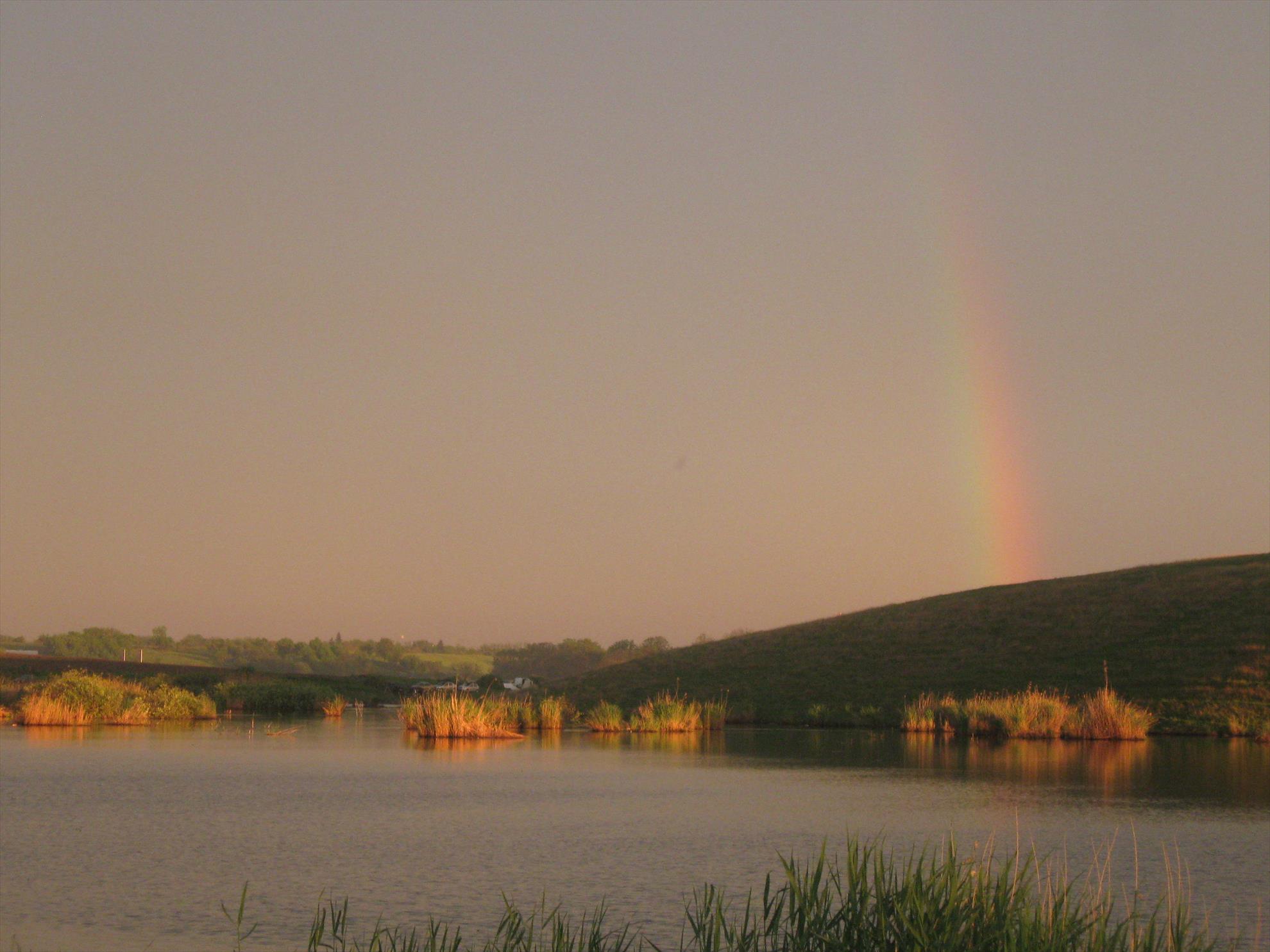 CONCURS - 6-9-mai-2010-chiroiu-001.jpg